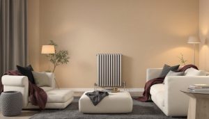 découvrez le radiateur intuis, la solution parfaite pour un confort thermique optimal dans votre intérieur. alliant design moderne et performances énergétiques, il régule la chaleur de manière efficace pour un bien-être inégalé tout au long de l'année.