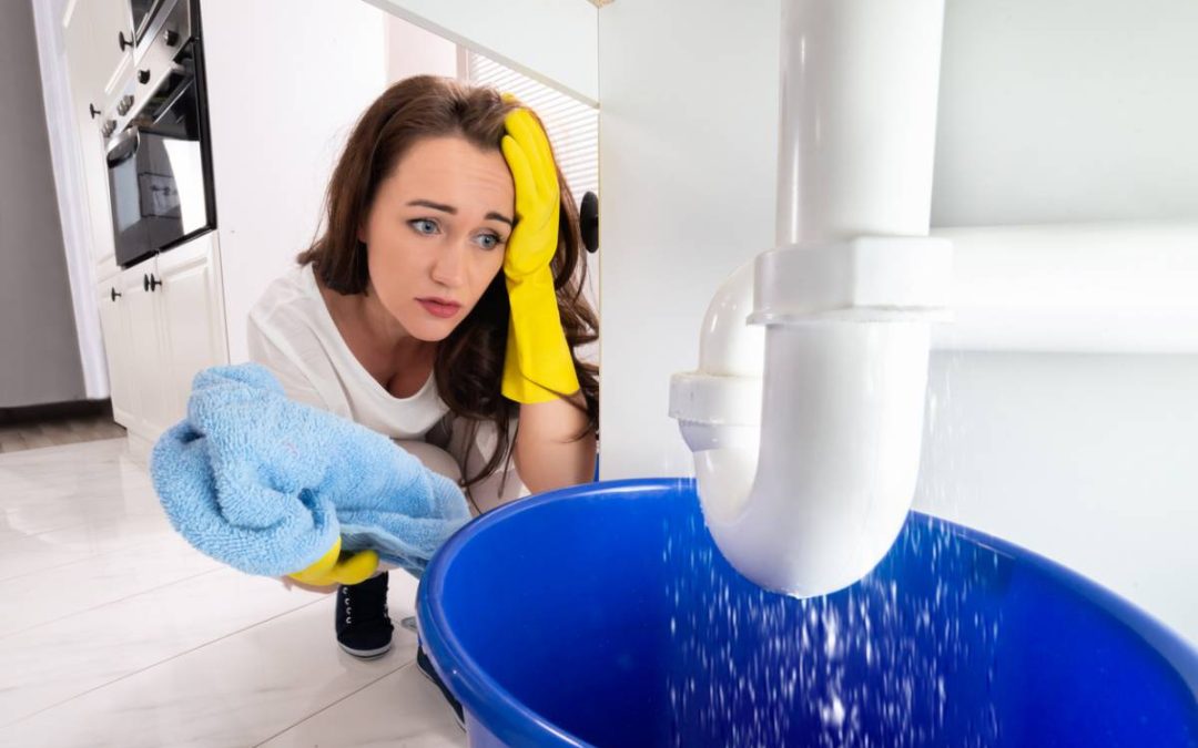 Fuite ou panne à Divonne-les-Bains : qui contacter en plomberie sanitaire ?